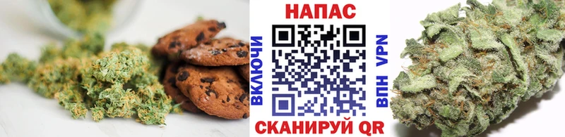 где купить наркотик  Фрязино  Cannafood конопля 