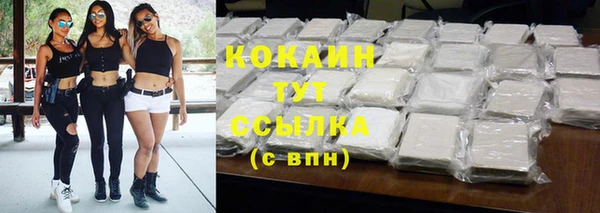 индика Сафоново
