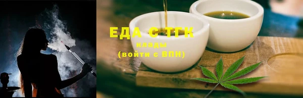 индика Сафоново