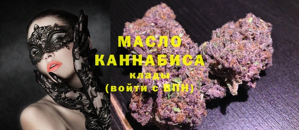 индика Сафоново