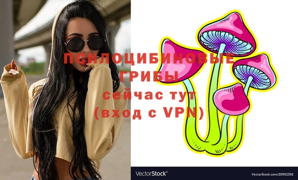 индика Сафоново