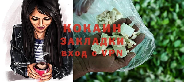 индика Сафоново