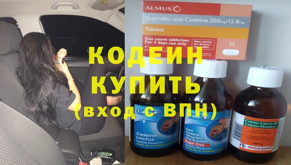 индика Сафоново
