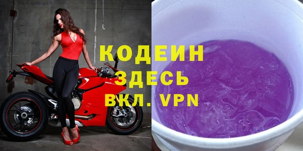 индика Сафоново