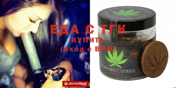 индика Сафоново