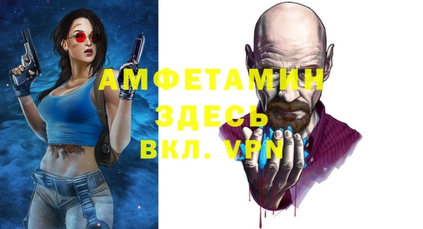 индика Сафоново