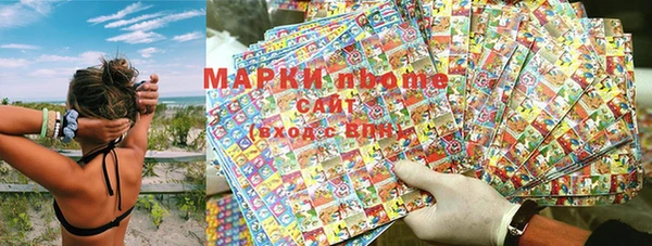 индика Сафоново