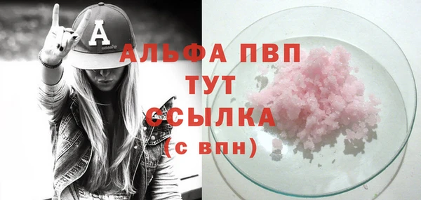 индика Сафоново