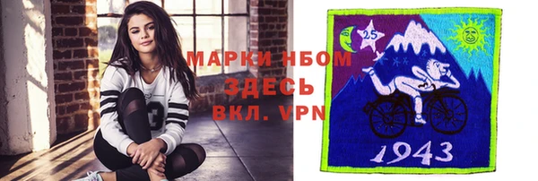 индика Сафоново
