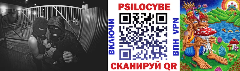 Псилоцибиновые грибы мицелий МЕГА Фрязино