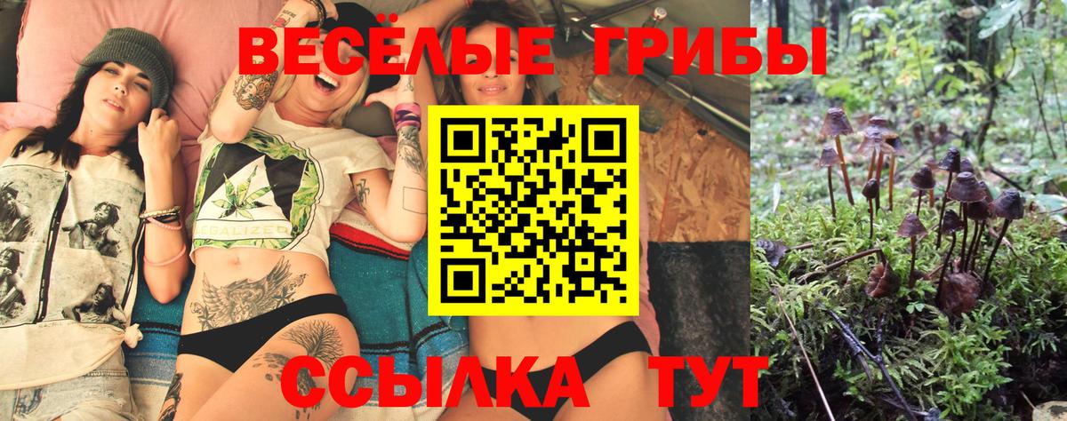 Псилоцибиновые грибы GOLDEN TEACHER  Вход с VPN  Фрязино 