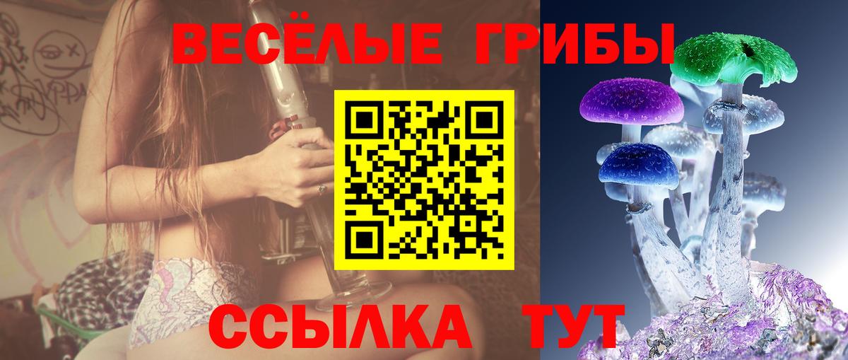 Галлюциногенные грибы прущие грибы Фрязино