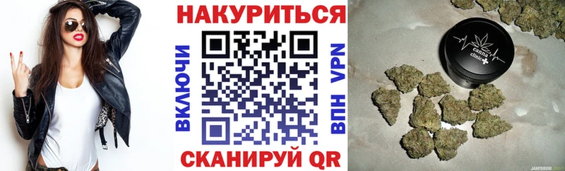 Конопля конопля  купить наркотик  Фрязино 
